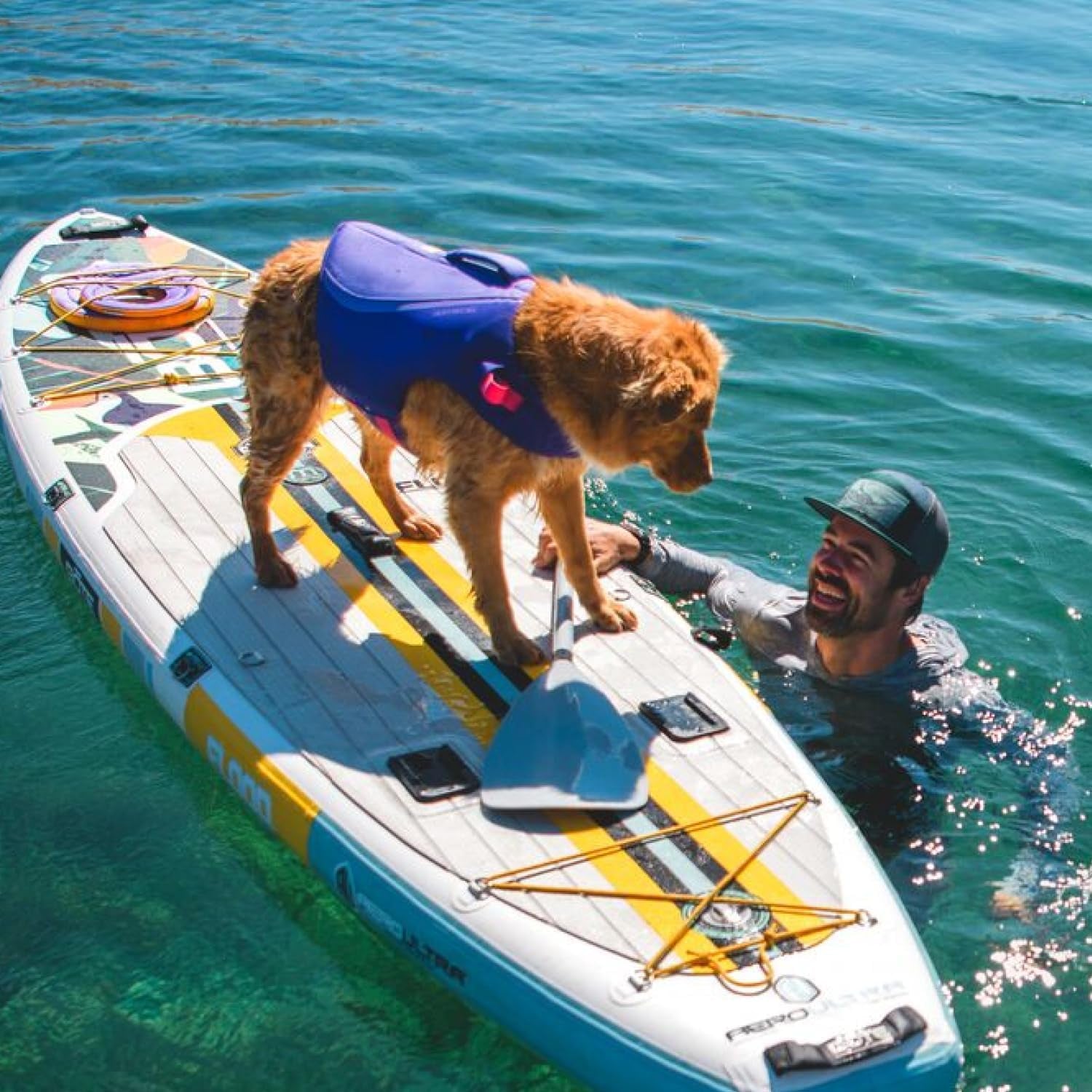 , Float Coat, Dog Life Jacket, Swimming Safety Vest with Handle, Deep Blue, X-Small